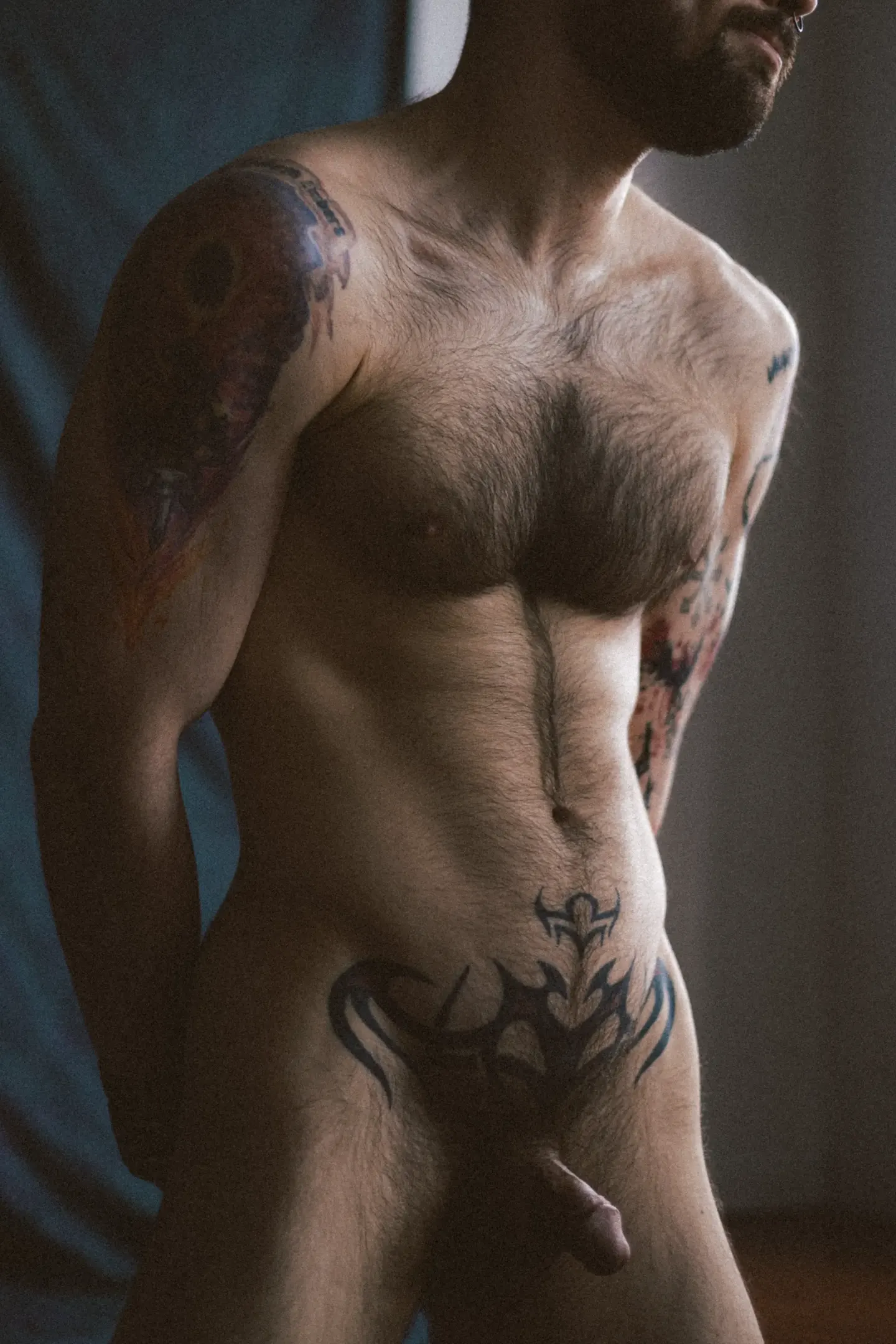 Nu masculin artistique, nu tattoo torse — Belle Tronche, galerie nu intégral
